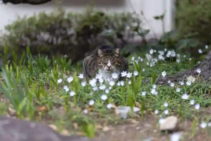 住吉神社(神奈川県)