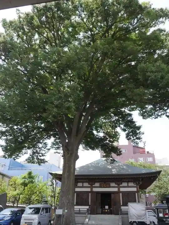 總持寺の自然