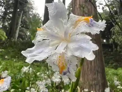 大宮温泉神社(栃木県)