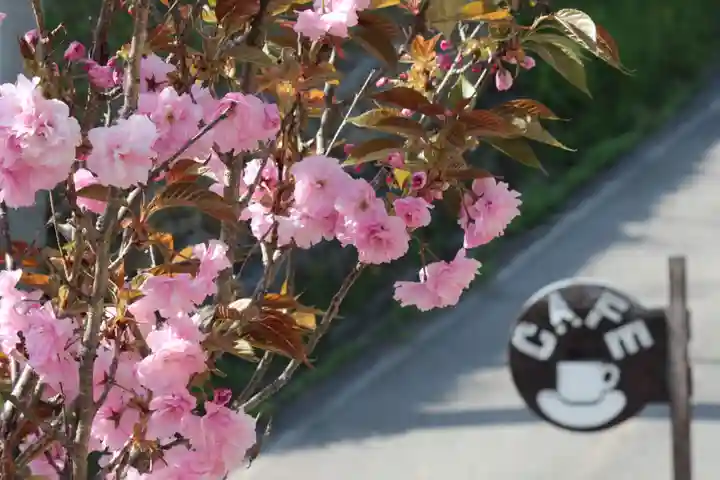 国宝 大法寺(長野県)