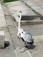 東寺(教王護国寺)(京都府)