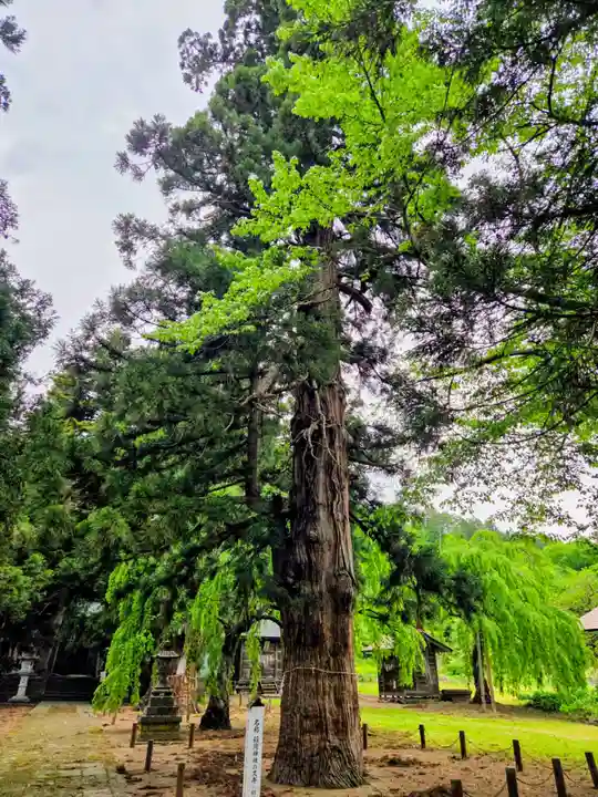 慶徳稲荷神社(福島県)
