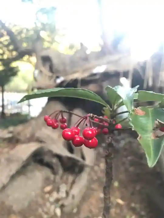 草薙神社の自然