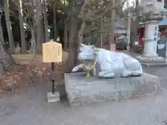 冨士御室浅間神社の狛犬