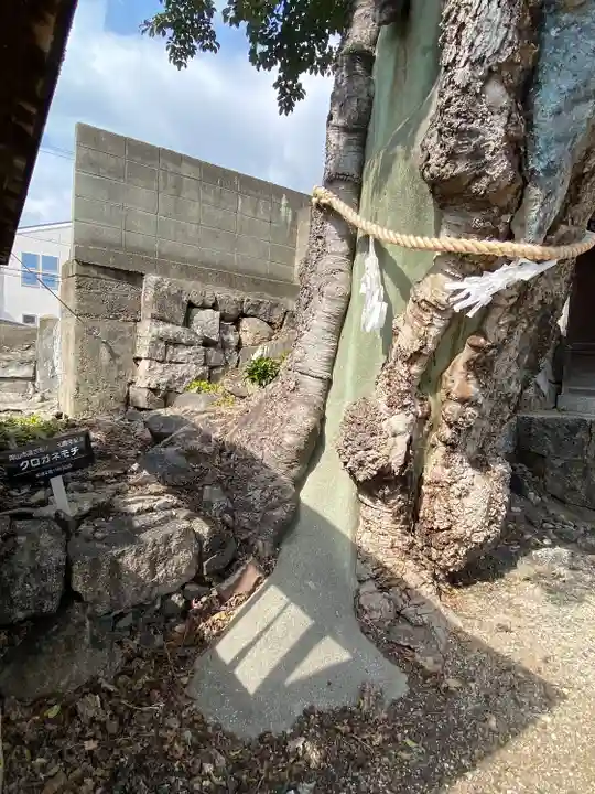 伊勢神社(岡山県)