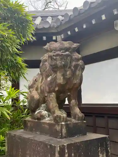 京都乃木神社の狛犬