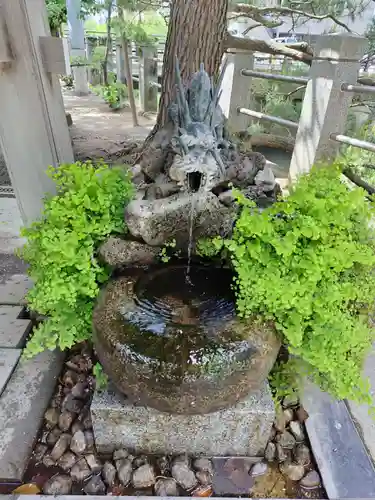 松戸神社(千葉県)