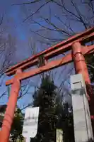 世田谷八幡宮の鳥居