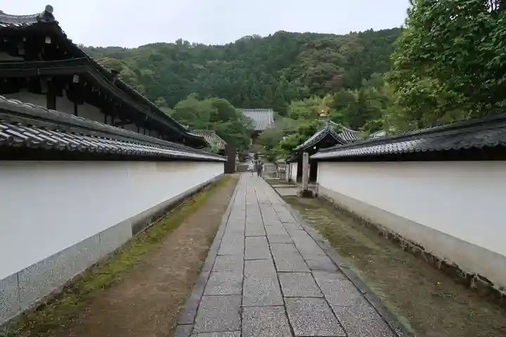 矢田寺(奈良県)