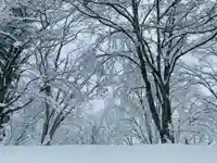 土津神社|こどもと出世の神さまの自然