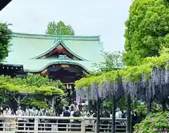 亀戸天神社(東京都)