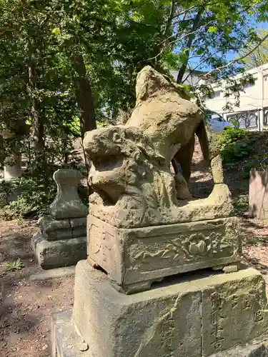 住吉神社の狛犬