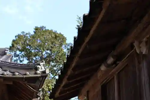 宇賀神社のその他建物