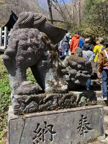 戸隠神社奥社の狛犬