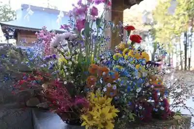 滑川神社 - 仕事と子どもの守り神の手水舎