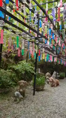 三井寺（平等寺）(福岡県)