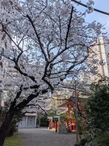 秋葉神社(東京都)