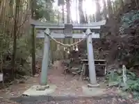 島大国魂神社の鳥居