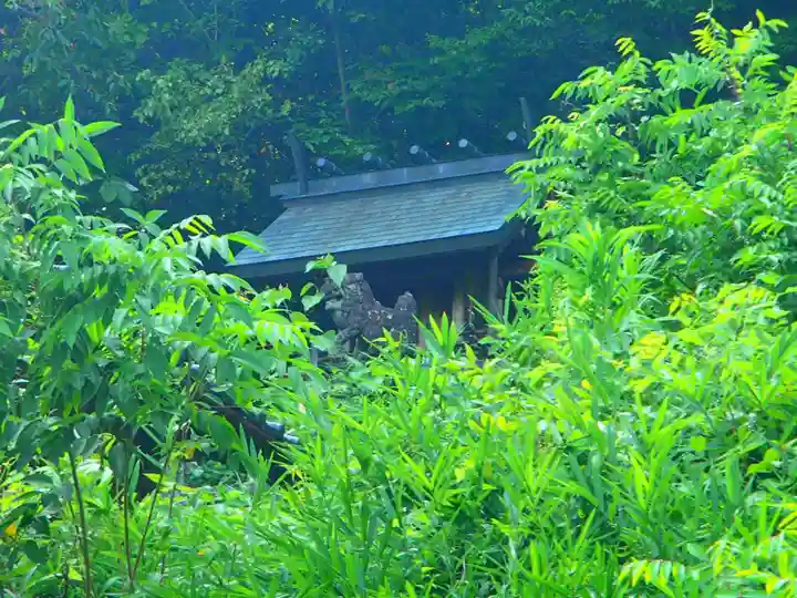 日吉神社の本殿・本堂