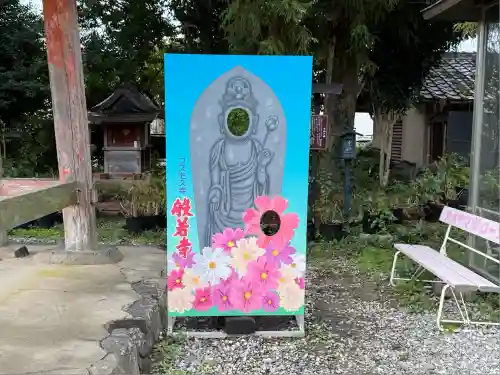 般若寺 ❁﻿コスモス寺❁(奈良県)