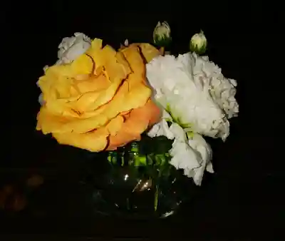 手稲神社(北海道)