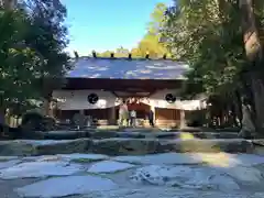 椿大神社の本殿