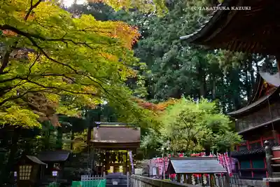 北口本宮冨士浅間神社(山梨県)