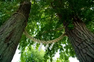 千住神社(東京都)