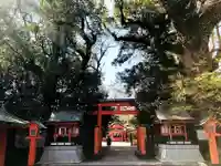 枚聞神社の鳥居