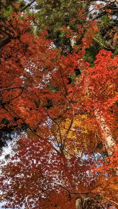 龍安寺(京都府)