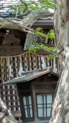 大應寺(大応寺)(京都府)