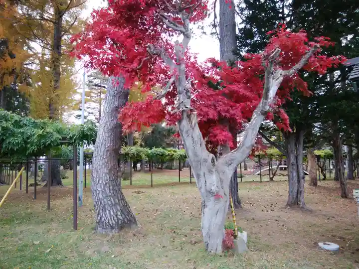 上湧別神社(北海道)