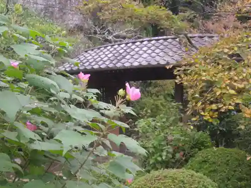 海蔵寺の山門