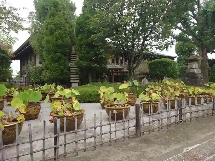金剛院(東京都)