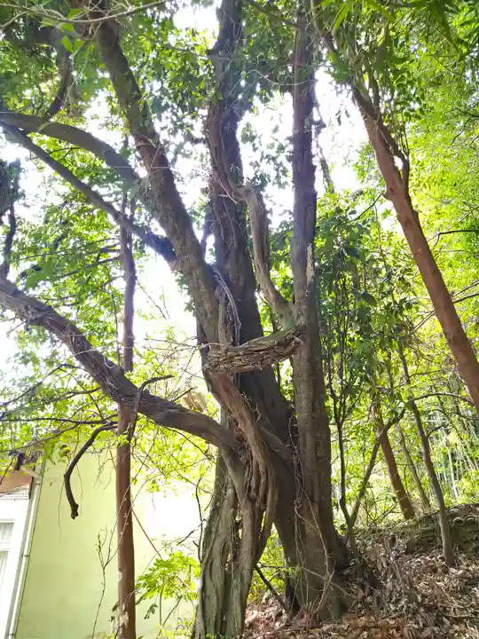 由加神社(和気由加神社)の自然