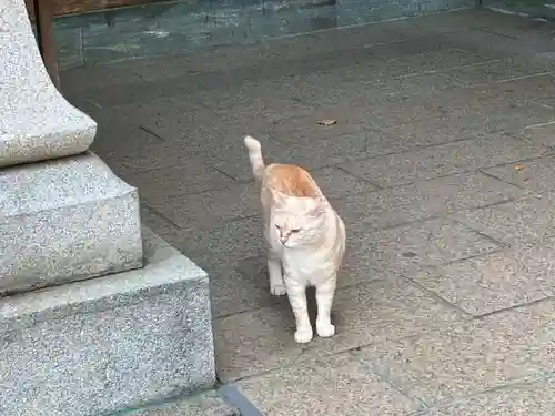 王子神社(徳島県)