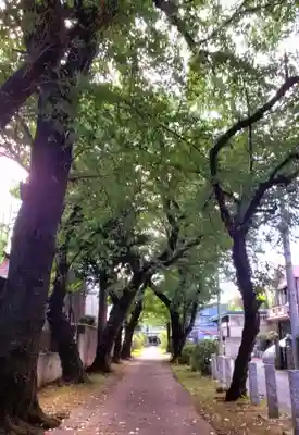 田端神社(東京都)