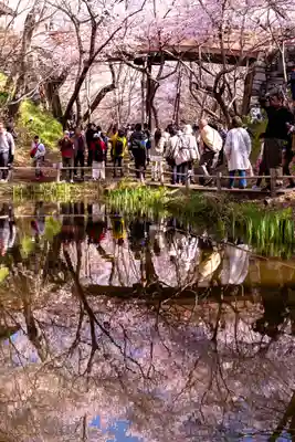 新城藤原神社(長野県)