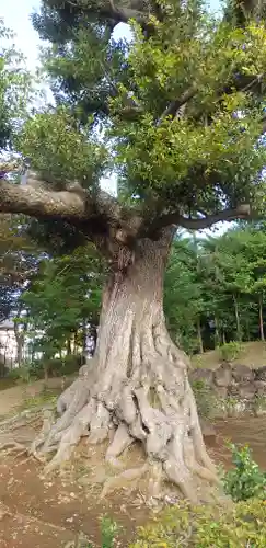 埴生神社(千葉県)