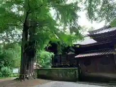 玉敷神社の本殿