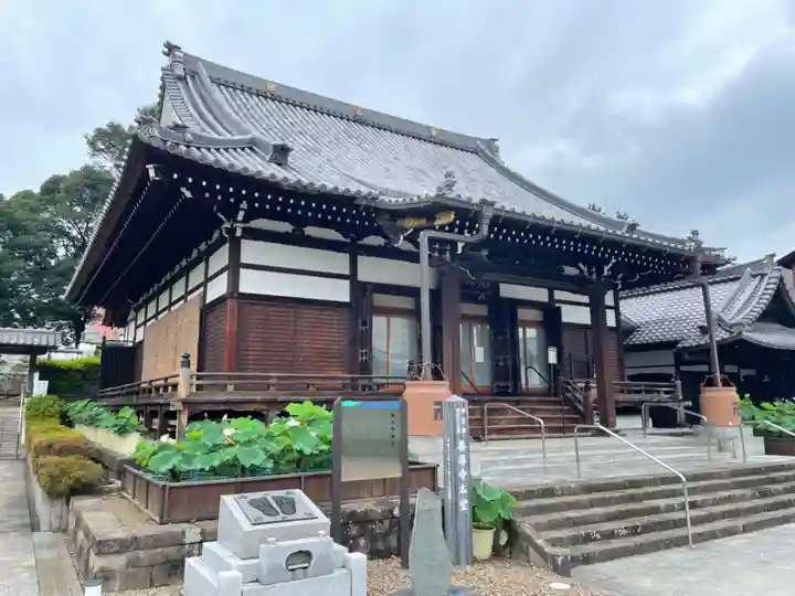 善導寺の本殿・本堂
