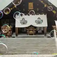 札幌諏訪神社の本殿・本堂