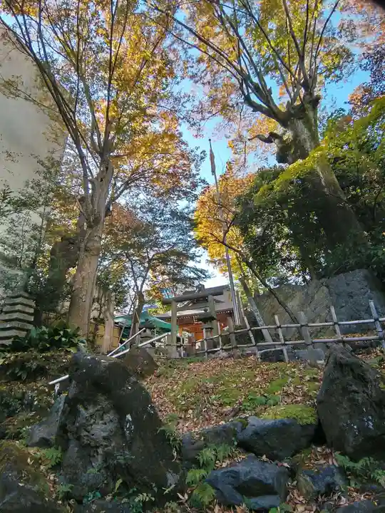 子安神社の自然