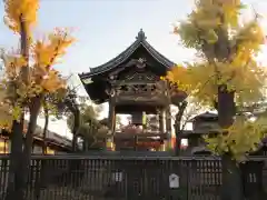 本願寺（西本願寺）(京都府)