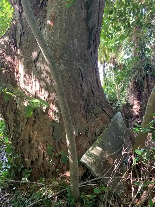 子安神社の自然