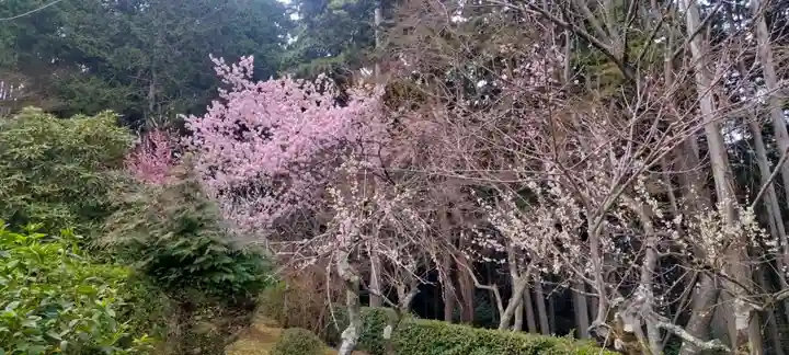 石山寺(滋賀県)