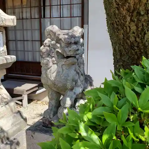 飛鳥神社の狛犬