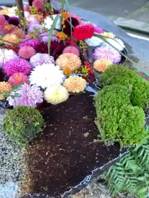 荘内神社の手水舎