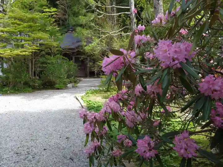 普門院(和歌山県)