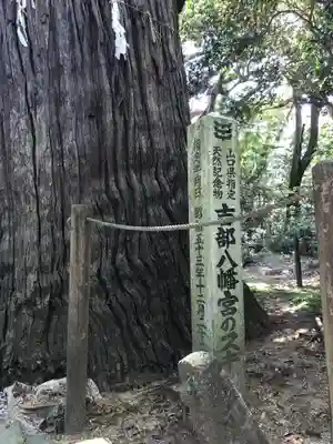 吉部八幡宮のその他建物